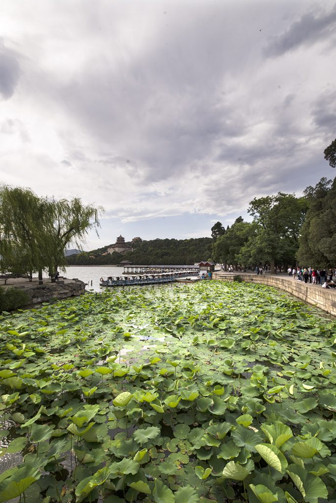 "beijing summer palace", "Chinese traditional medicine in beijing"