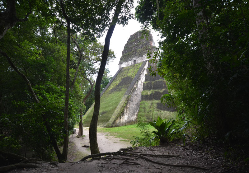 Exploring Tikal in Guatemala